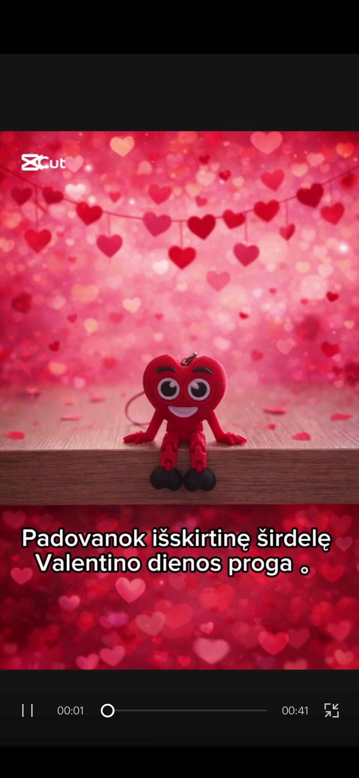 Valentino dienos širdelė – originali dovana“❤️ Pasirinkus „Vardinė širdelė“, įrašykite norimą tekstą. ❤️